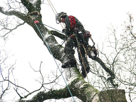 Man Cutting Down a Tree in the Snow