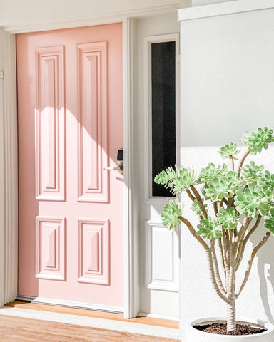 Pink Frontdoor and Mint Painted Wall